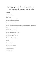 Cấp Giấy phép Tư vấn đầu tư xây dựng đường dây và trạm biến áp có cấp điện áp từ 35kV trở xuống docx