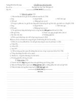 Kiểm tra phần truyện hiện đại VN (tiết 155)