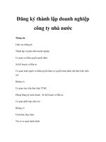 Đăng ký thành lập doanh nghiệp công ty nhà nước ppsx