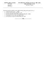 Đề kiểm tra thử hh 11 c3 cb