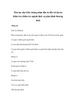 Thủ tục cấp Giấy chứng nhận đầu tư đối với dự án thẩm tra (thẩm tra ngành dịch vụ giám định thương mại) pdf