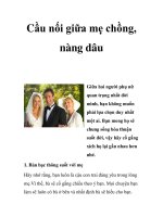 Cầu nối giữa mẹ chồng, nàng dâu doc