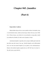 Chapter 043. Jaundice (Part 6) pps