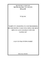NGHIÊN CỨU ẢNH HƯỞNG CỦA NẤM TRICHODERMA ĐẾN SINH TRƯỞNG VÀ KHẢ NĂNG CHỐNG CHỊU BỆNH TRÊN CÂY CAO SU GIAI ĐOẠN VƯỜN ƯƠM TẠI ĐĂK LĂK