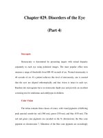 Chapter 029. Disorders of the Eye (Part 4) potx