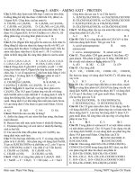 bài tâp amino và aminoaxit 03