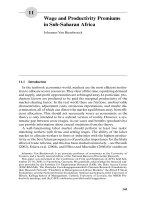 The Analysis of Firms and Employees Part 11 pps