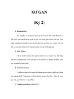 XƠ GAN (Kỳ 2) pdf