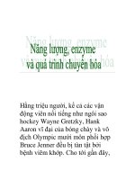 năng lượng, enzyme và quá trình chuyển hóa pptx