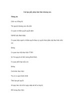 Gia hạn giấy phép khai thác khoáng sản ppsx