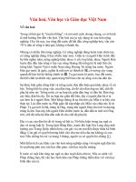 Văn hoá, Văn học và Giáo dục Việt Nam