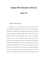 Chapter 029. Disorders of the Eye (Part 17) potx