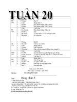 Giao an lop 2 CKTKN na­m 09-10 Tuan 20