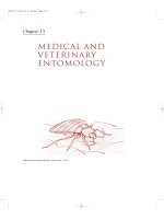 The Insects - Outline of Entomology 3th Edition - Chapter 15 pps