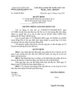 Các quyết định thành lập Hội thi CBQLG trường TH