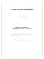 Agriculture and Economic Growth in Vietnam doc
