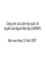 Công ước của Liên hợp quốc về Quyền của người bản địa pptx