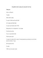 Cấp phiếu lý lịch tư pháp cho công dân Việt Nam pptx