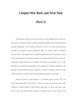 Chapter 016. Back and Neck Pain (Part 2) doc