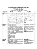 kế hoach chu điẻm Nghề nghiêp