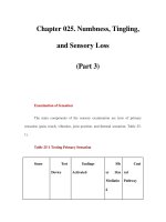 Chapter 025. Numbness, Tingling, and Sensory Loss (Part 3) pptx