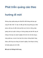 Phát triển quảng cáo theo hướng đi mới pot