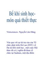 Bể khí sinh học pot