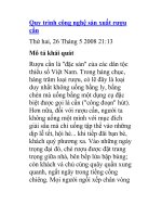 Quy trình công nghệ sản xuất rượu cần pptx