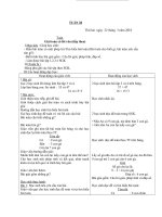 Giáo án Lớp 1 tuần 28 ca ngày(CKTKN)