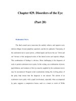 Chapter 029. Disorders of the Eye (Part 20) ppt
