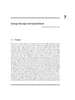 Stephens & Foraging - Behavior and Ecology - Chapter 7 pdf