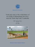 Yield and value of the wild fishery of rice fields in Battambang Province, near the Tonle Sap Lake, Cambodia pdf