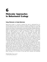 Freeland - Molecular Ecology (Wiley, 2005) - Chapter 6 ppsx