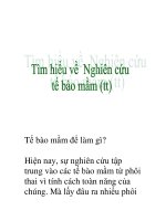 tìm hiểu về nghiên cứu tế bào nầm (tt) ppsx