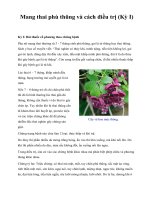 Mang thai phù thũng và cách điều trị (Kỳ I) doc