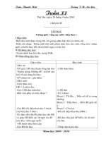 Giáo án L4 Tuần 33 CKTKN CT2buôi/ngày