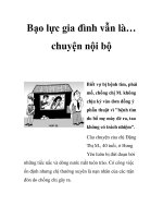 Bạo lực gia đình vẫn là… chuyện nội bộ docx