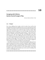 Stephens & Foraging - Behavior and Ecology - Chapter 10 pps