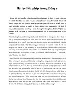 Hỷ lạc liệu pháp trong Đông y pdf