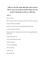 Thẩm tra cấp Giấy chứng nhận đầu tư đối với dự án đầu tư có quy mô vốn đầu tư từ 300 tỷ đồng Việt Nam trở lên và thuộc lĩnh vực đầu tư có điều kiện ppsx