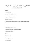 Chuyển đổi công ty cổ phần thành công ty TNHH 2 thành viên trở lên potx