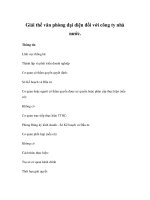 Giải thể văn phòng đại diện đối với công ty nhà nước doc