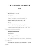 CHÂM KIM HOA MAI (MAI HOA CHÂM) (Kỳ 5) pdf