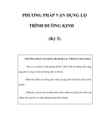 PHƯƠNG PHÁP VẬN DỤNG LỘ TRÌNH ĐƯỜNG KINH (Kỳ 3) ppsx