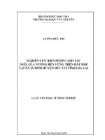 NGHIÊN CỨU BIỆN PHÁP CANH TÁC  NGÔ, LÚA NƯƠNG BỀN VỮNG TRÊN ĐẤT DỐC  TẠI XÃ IA DOM HUYỆN ĐỨC CƠ TỈNH GIA LAI
