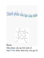 thành phần cấu tạo của máu pptx