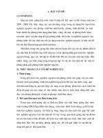 SKKN dat giai A cap tinh