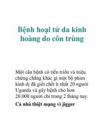 Bệnh hoại tử da kinh hoàng do côn trùng pptx