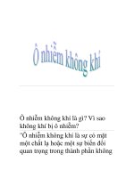 Ô nhiễm không khí là gì? Vì sao không khí bị ô nhiễm? pdf