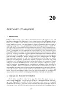 Entomology 3rd edition - C.Gillott - Chapter 20 ppt